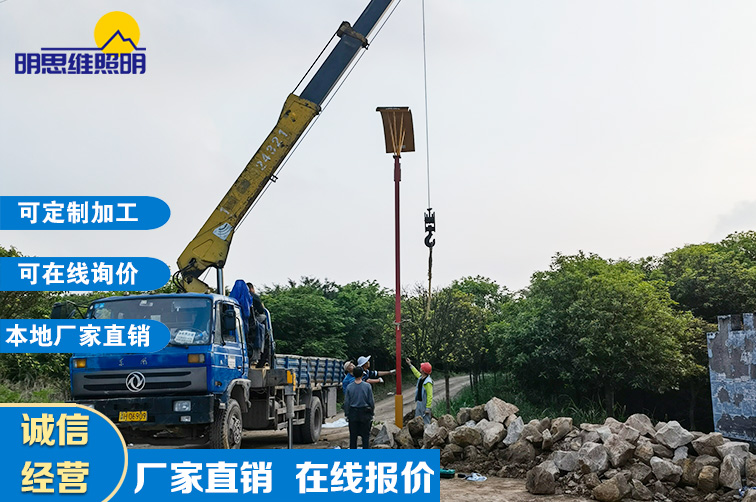 重慶農家樂路燈桿工程案列