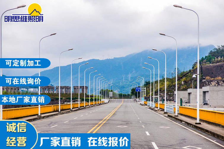 大學城道路兩旁燈桿建設項目