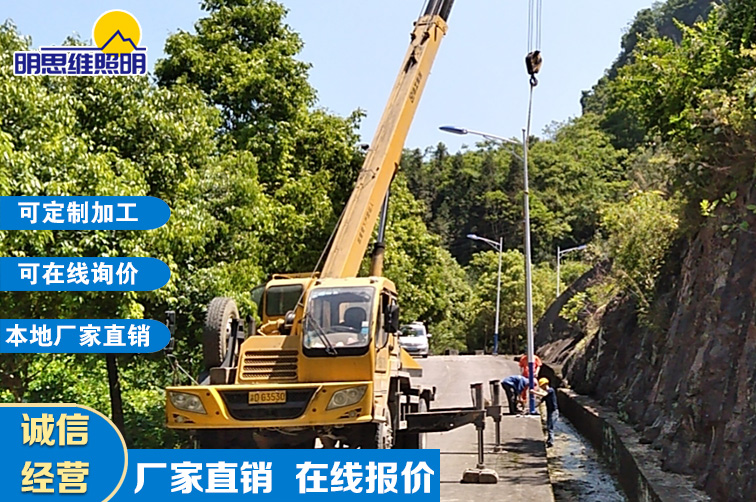 重慶道路路燈桿現場安裝案列