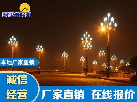 工業園區八叉九火玉蘭燈項目