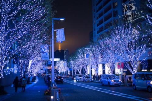 特色太陽能路燈燈頭生產商：扶植智慧城市擺設-明思維照明