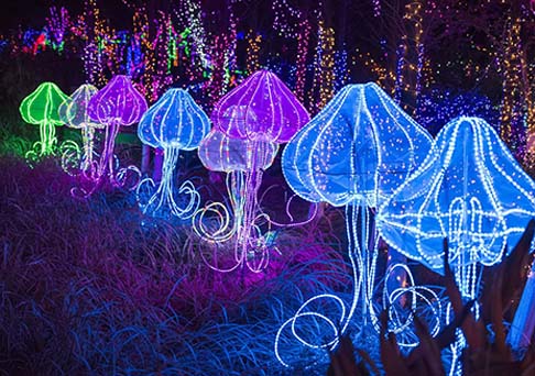 中山瀚沃：打造城市夜景，美化城市名片-明思維照明