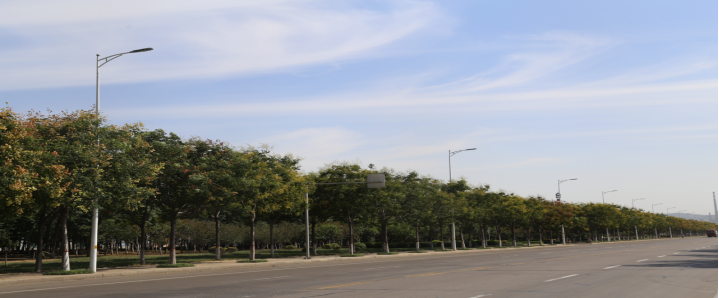 照明合同能源管理模式推廣，需注重LED路燈技術研發
