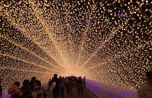 變幻多彩的城市燈光，與眾不同的夜間景象-明思維照明