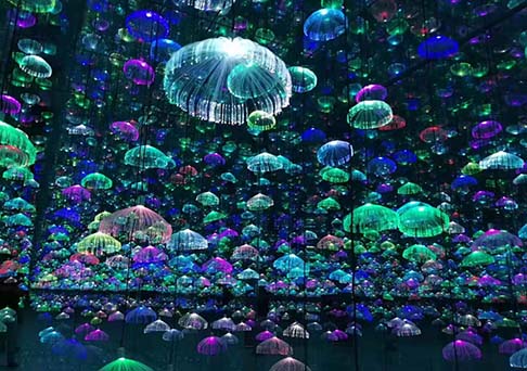 瀚沃打造網紅館:室內空間也有絢麗的燈光展-明思維照明