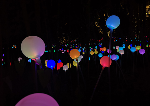 淮陰市亮化工程:打造無與倫比的夜景-明思維照明