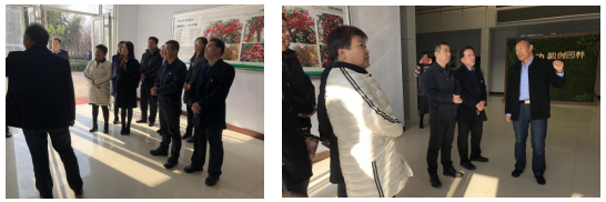 公司參加齊都鎮人社政策解讀會