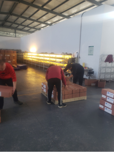 捷克客戶追加Q1+款LED路燈燈具訂單，光電全力生產