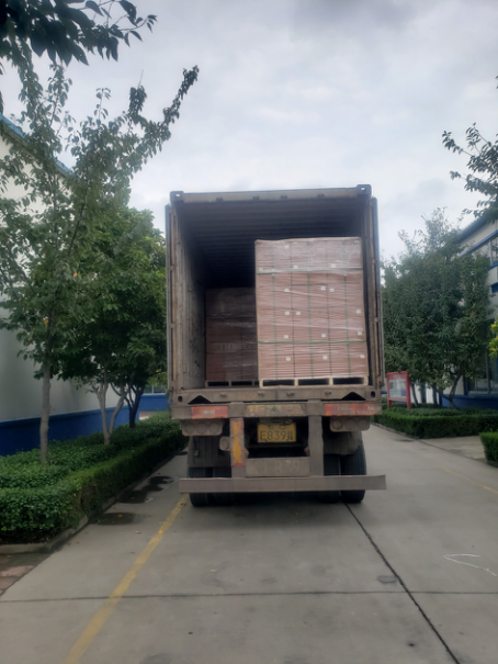 LED路燈法國訂單生產完畢裝柜發貨