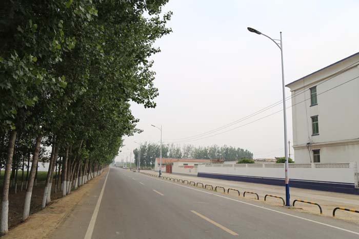 led路燈頭整燈應用