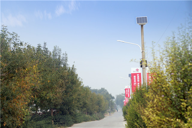 太陽能路燈