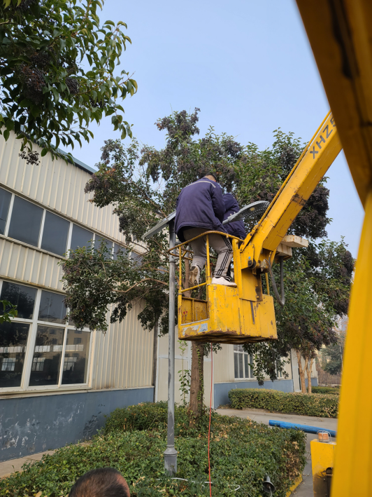 廠區亮化舊燈桿太陽能路燈改造，光電顯身手